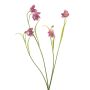 artificiel branche Fritillaire PITARA, rose vif-blanc, 50cm