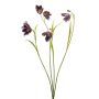artificiel branche Fritillaire PITARA, violet foncé-rose, 50cm
