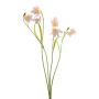artificiel branche Fritillaire PITARA, rose-blanc, 50cm