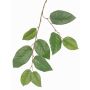 Branche de pommier artificielle KONSTANTIN, vert, 75cm