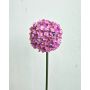Allium artificiel LOKJAN, rose vif, 70 cm