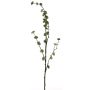 Branche artificielle Hamamélis DEYONG avec fleurs, crème-vert, 90cm