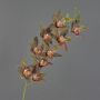 Tige d'orchidée Cymbidium artificielle YAMEI, rouge foncé-vert, 80cm