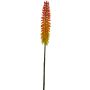 Fleur artificielle Kniphofia QIUMIN, orange, 85cm