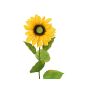 Tournesol en plastique DORINA, jaune, 70cm, Ø12cm