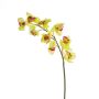Tige d'orchidée Cymbidium artificielle OKSANA, jaune-vert, 80cm, Ø6,5cm