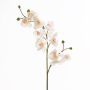 Tige d’orchidée Phalaenopsis en plastique STINA, blanc, 90cm, Ø7-9cm