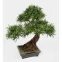 Faux bonsaï podocarpus MASAO, racines, coupe céramique, 85cm