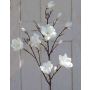 Branche de magnolia artificielle YONA, crème-blanc, 130cm