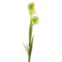Fleur décorative Campanule WENXIN, crème-vert, 80cm