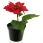 Fleur artificielle poinsettia NUORU en pot décoratif, rouge, 15cm