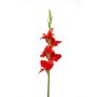 Glaïeul artificiel KIVANA, rouge, 90cm