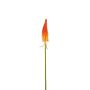Fleur déco Kniphofia MAVORA, rouge-orange, 80cm