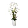 Composition florale artificielle d'orchidée et de saule tire-bouchon TENIKA, vase en céramique, racines, blanc, 160cm