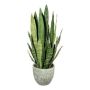 Plante succulente décorative Sansevieria SNARLY dans un cache-pot en mélamine, vert, 80cm