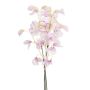 Bouquet déco Lathyrus Bund KIDO, rose-blanc, 50cm
