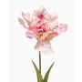 Fleur artificielle Tulipe perroquet ALISCHA, rose clair, 70 cm