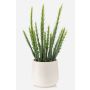 Cactus artificiel Euphorbia sipolisii NORSHO dans un pot décoratif, vert, 28 cm