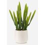 Cactus artificiel Euphorbia trigona NORSHO dans un pot décoratif, vert, 28 cm