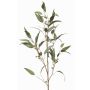 Branche d'eucalyptus en tissu JURKA avec des fruits, vert-gris, 115cm