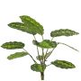 Plante artificielle Calathea roseopicta WENFYN, tige, verte, 55 cm