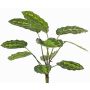 Plante artificielle Calathea roseopicta WENFYN, tige, verte, 55cm