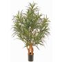 Arbre artificiel Dracaena reflexa anita SENFYN, troncs naturels, vert, 95cm
