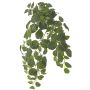 Plante artificielle Fittonia LONFYN, tige, retombante, verte, 75 cm
