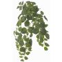 Plante artificielle Fittonia LONFYN, tige, retombante, verte, 75cm