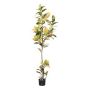 Arbre artificiel Croton ERENDY, tronc artificiel, vert-jaune, 200 cm
