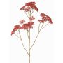 Branche décorative d'achillée ORTEGA, vieux rose, 75cm, Ø7-13cm
