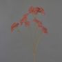 Branche décorative d'achillée ORTEGA, vieux rose, 75 cm, Ø 7-13 cm