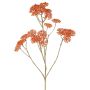 Branche décorative d'achillée ORTEGA, orange, 75 cm, Ø 7-13 cm