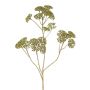 Branche décorative d'achillée ORTEGA, verte, 75 cm, Ø 7-13 cm