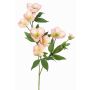 Branche de roses de Noël artificielles ANYALA, rose-blanc, 60cm, Ø5-6cm