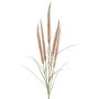Branche décorative d'herbe à plumes AREVALO avec panicules, beige, 135 cm