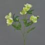 Branche de roses de Noël artificielles ANYALA, vert-blanc, 60 cm, Ø 5-6 cm
