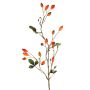 Branche décorative de rosier sauvage ZERBST avec des cynorrhodons, orange-rouge, 80 cm