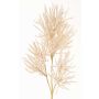 Branche décorative Corail BILBAS, crème, 70cm