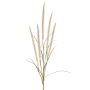 Branche décorative d'herbe à plumes AREVALO avec panicules, crème, 135 cm