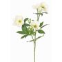 Branche de rose de Noël artificielle ANYALA, crème-blanc, 60cm, Ø5-6cm