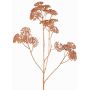 Branche décorative d'achillée millefeuille ORTEGA, cuivre, 75cm, Ø7-13cm