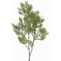 Branche décorative de cyprès artificiel SILVARIO, verte, 75cm