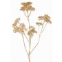 Branche décorative d'achillée millefeuille ORTEGA, dorée, 75cm, Ø7-13cm