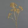 Branche décorative d'achillée millefeuille ORTEGA, dorée, 75 cm, Ø 7-13 cm