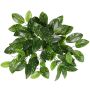 Hoya carnosa artificiel QWARA sur tige, vert-blanc, 35 cm