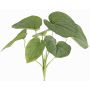 Plante artificielle hosta RAIATEA sur tige, verte, 65cm