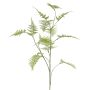 Branche décorative d'Asparagus plumosus UHERA, verte, 140 cm
