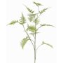 Branche décorative d'Asparagus plumosus UHERA, verte, 140cm