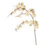 Branche décorative de cerisier ornemental japonais ZORYA avec fleurs, crème-rose, 125 cm